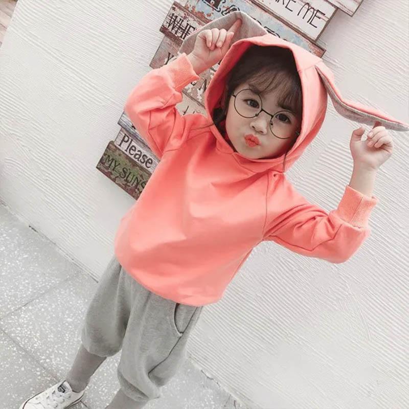 Girls Spring and Autumn Hooded Pullover Sweater Cute Rabbit Ears Decorative Pants Casual Style Children's Two-piece Set