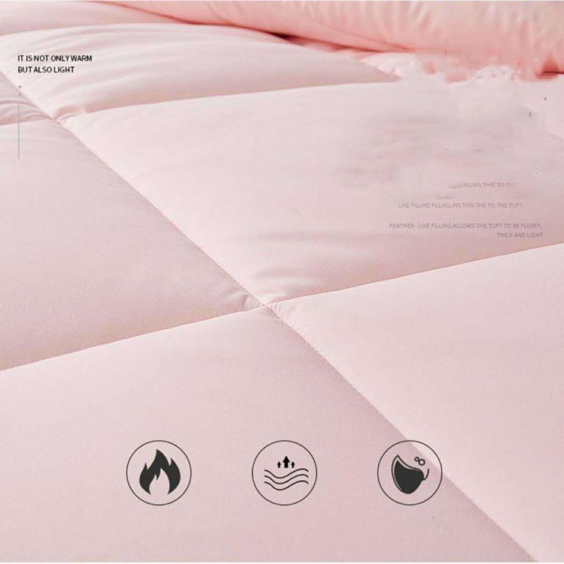 100% Genuine Thick Warm Silk Winter Quilt Double Thin Spring and Autumn Quilt Core Winter Student Mulberry Silk Quilt