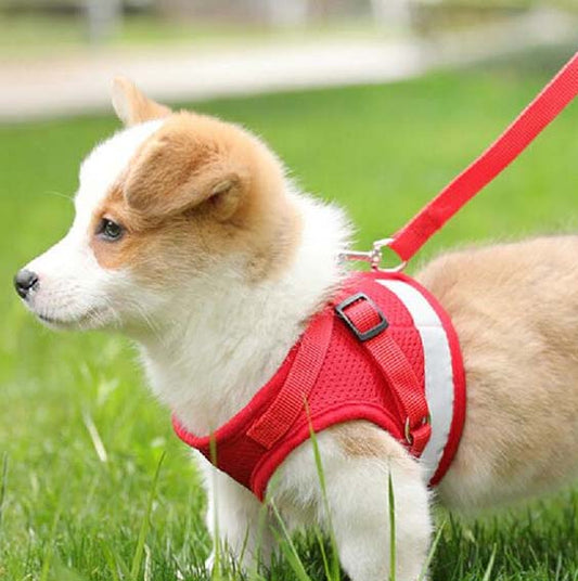 Vest-style Dog Leash Small Dog Pet Chest Harness Teddy Pomeranian Out Walking Dog Rope Dog Leash