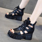 Women's Platform Sandals Hollow Breathable Boots Summer Wedge Heel Mesh Fish Mouth Shoes