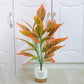 Nordic Wind Simulation Plant Bonsai  Artificial Flower Decoration Simulation Flower Green Plant Decoration Turtle Back Leaf Indoor Potted Desktop