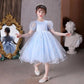 Girls Clothing Dress Fluffy Net Yarn Cute Western Catwalk Costumes Host Temperament Dress
