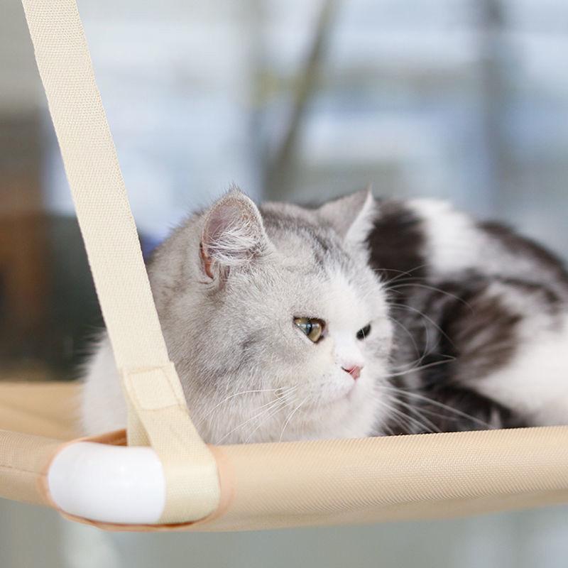 Cat Hammock Hammock Hammock Four Seasons General Summer Cat Swing Bed Powerful Sucker Cat Supplies