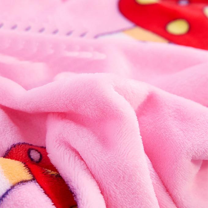 Winter Thick High-quality Double-sided Fleece Bed Sheet Flannel Blanket Coral Fleece Blanket Machine Washable