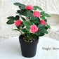 Silk Flower Plastic Flower Small Potted Bonsai Floor Decoration Artificial Flower Furnishings Living Room Table Decoration Floristry Plant