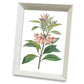 Framed Cross Stitch DIY Hand-woven Thread Embroidery Simple Modern Flower Simple Embroidery Living Room Bedroom Decoration