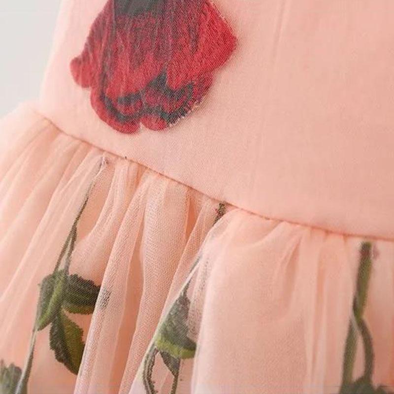 Girls Summer Mesh Dress 0-5 Years Old Baby Girl Sweet Princess Skirt Round Neck Sleeveless Tutu Skirt Rose Decoration