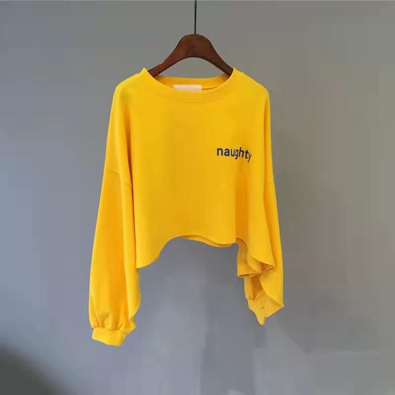 Women's Gym Short Sports Long-sleeved Blouse Outdoor Exercise Running Top Spring and Autumn Yoga Dance Gym Clothes Loose Top