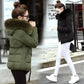 Winter Plus Size Slim-fit Cotton-padded Jacket Women's Short Section Was Thin, New Cotton-padded Jacket with Large Fur Collar Thickened Padded Jacket