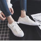 All-match Small White Shoes Women's Canvas Shoes Student Harajuku Cloth Shoes