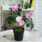 Plastic Flower Silk Flower Artificial Flower Furnishings Living Room Table Decoration Floristry Plant  Small Potted Bonsai Floor Decoration