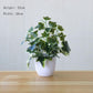 Artificial Flower Plants Fake Green Plants Ornaments Living Room Bedroom Hotel Club Plastic Furnishings Green Radish Potted Anthurium