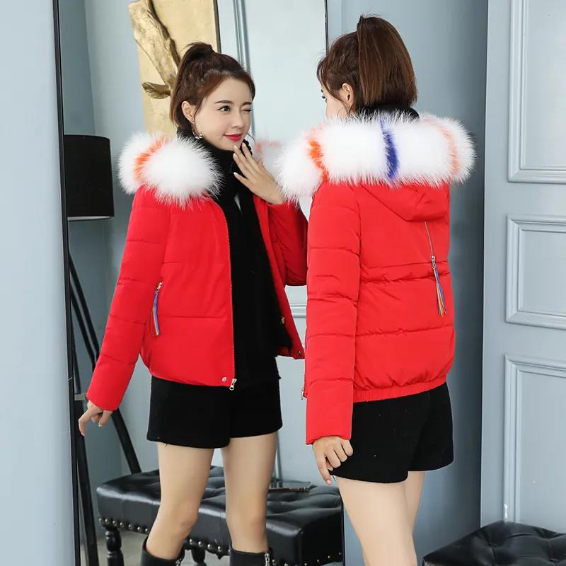 Winter Down Jacket Big Fur Collar Korean Loose Padded Jacket Jacket Short Warm Hooded Down Jacket