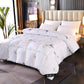 Down Quilt White Goose Down Quilt Thick Warm Winter Quilt Dormitory Students Universal Quilt for All Seasons