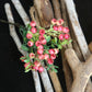 Artificial Green Plant Olive Fruit Red Fruit Berry Bean Branch Home Living Room Christmas Decoration Flower Fake Flower Decoration Furnishings