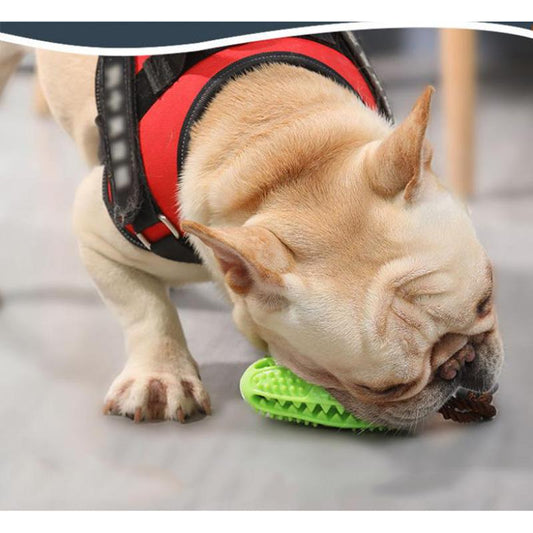 Dog Toy Bite-resistant Small Dog Teddy Relieve Boredom Leaking Ball Molar Teeth Leaking Device Dog Toy Training Toothbrush Pet Dogs Chewing Toys