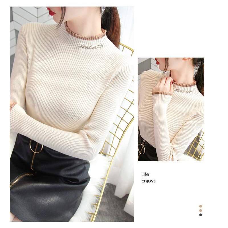 Women Embroidered turtleneck sweater long sleeve Pullover slim tight-fitting jumper top winter