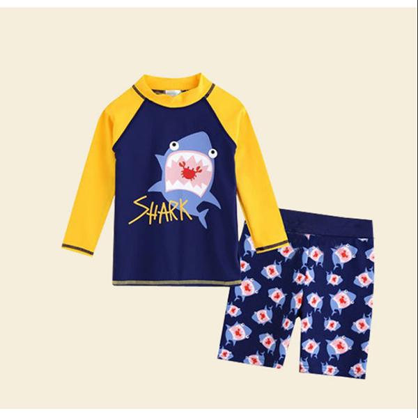Children's Swimsuit Boy Cartoon Printing Separate Swimwear Boy Middle-aged Long-sleeved Swimming Trunks Quick-drying Bathing Suit