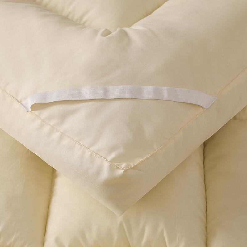 Thicken 10cm Down Cotton Mattress Five-star Hotel Soft Mattress Foldable Quilt