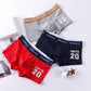 Men's Underwear Men's Boxer Cotton Large Size New Boxer Briefs