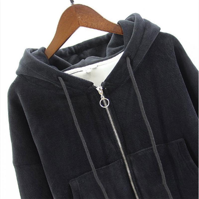Zipper Hooded Jacket Sweater Women's Suit Spring and Autumn Plus Velvet Thickening Sports and Leisure Two-piece Trend