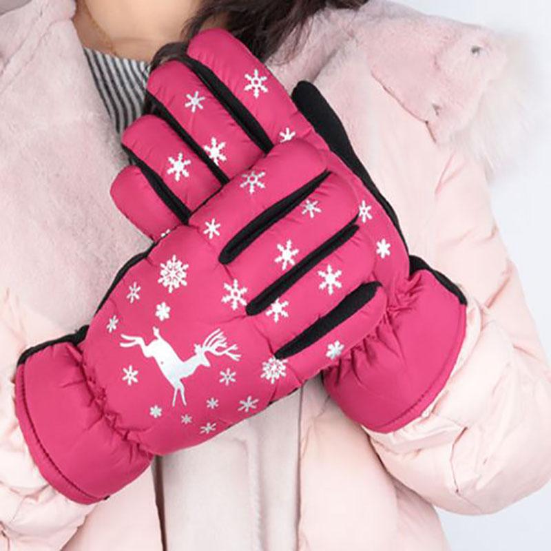 Winter Unisex Double-layer Plus Cotton Wool Gloves Thick Wear-resistant Windproof Riding Warm Waterproof Touch Screen Motorcycle Gloves