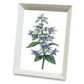 Framed Cross Stitch DIY Hand-woven Thread Embroidery Simple Modern Flower Simple Embroidery Living Room Bedroom Decoration