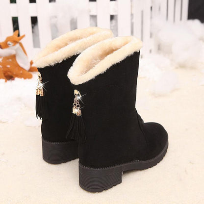 Snow Boots Women's Warm and Velvet Autumn and Winter Women's Short Boots Thick-soled Thick-heeled Fringed Mid-tube Boots