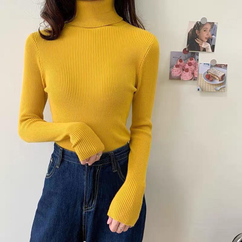 Women's Sweater Thickened Turtleneck Warm Autumn and Winter Knitted Women's Stretch Soft Pullover