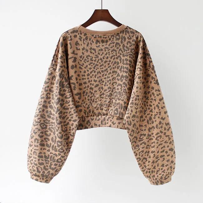 Women's Leopard Print Long Sleeve Sweater Autumn Korean Letter Print Loose Bottoming Shirt Short Round Neck Shirt