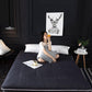 Mattress Thicker Upholstery Dormitory Mattress Student Single Mat Tatami Foam Mat Quilt Household Double Bed Mattress