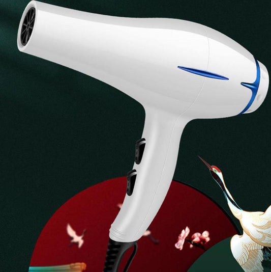 1200W Household High Power Hair Dryer Set Negative Ion Hair Care Hot/cold Hair Dryer Barber Equipment