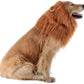 Realistic and Interesting Dog Lion Mane Dog Wigs Suitable for Medium and Large Dogs Lion Mane Wigs