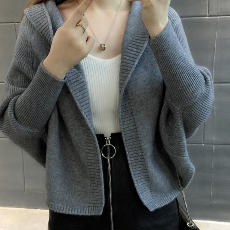 Hooded Sweater Winter Thickening Long-sleeved Loose Casual Fashion Bat Shirt Blouse
