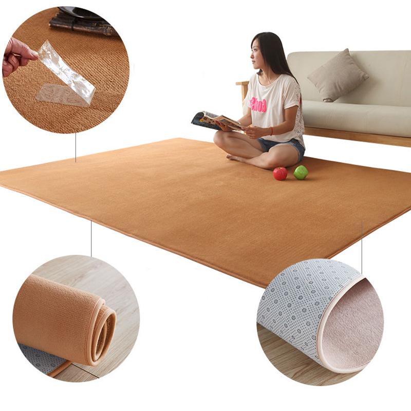 Modern Coral Velvet Carpet Simple Living Room Home Mat Bedroom Bedside Carpet