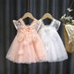 Baby Girl Summer Dress Children's Clothing Mesh Angel Princess Dress Fairy Girl Suspenders Birthday Dress Wings Fluffy DRESS