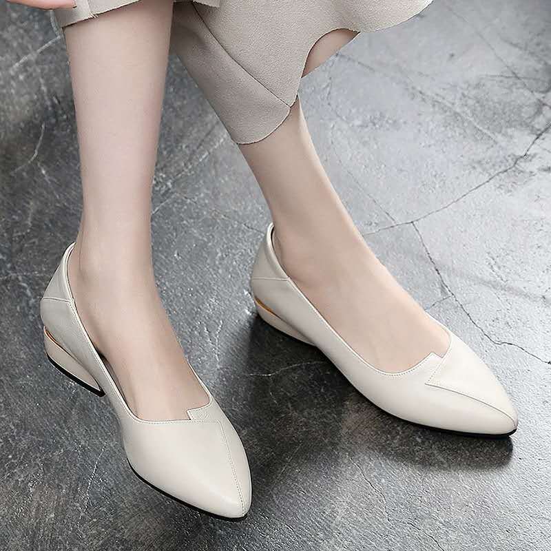 Thick-heeled Single Shoes Female Mother Shoes Flat Work Shoes Pointed Toe Women's Shoes Low-heel Pumps