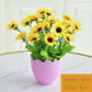 Artificial Flower Simulation Flower Living Room Bedroom Decoration Decoration Plastic Rose Floral Home Small Potted Plant Set Decoration