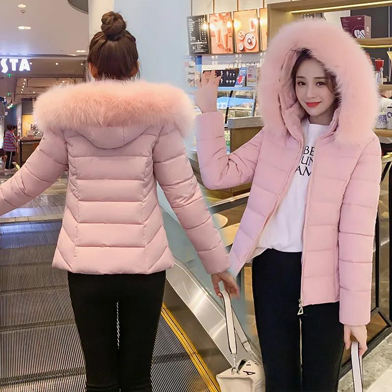 Winter Korean Style Slim and Thin Padded Jacket Jacket Thickened Short Big Fur Collar Down Jacket for Women