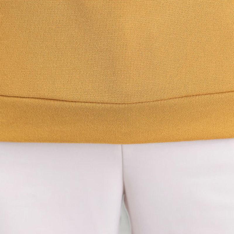 Spring and Autumn Mother Wear Long-sleeved T-shirt Top Women's Middle-aged Bottoming Shirt