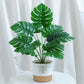 Nordic Wind Simulation Plant Bonsai Simulation Flower Green Plant Decoration Turtle Back Leaf Indoor Potted Desktop Artificial Flower Decoration