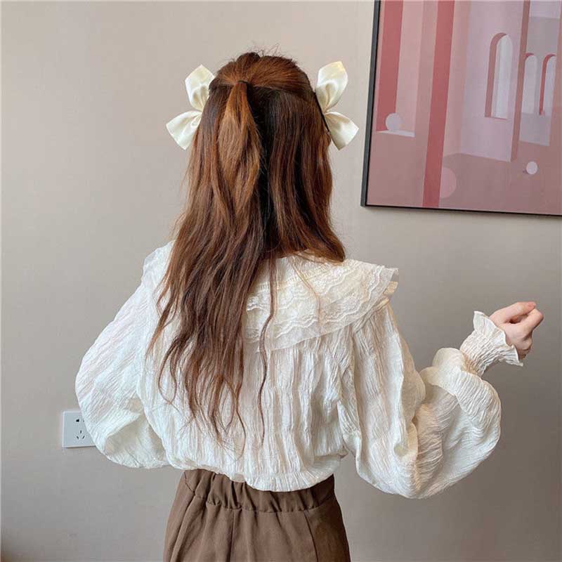 Spring Blouse Chiffon Shirt Women's Design Sense Niche Western Style Thin Shirt