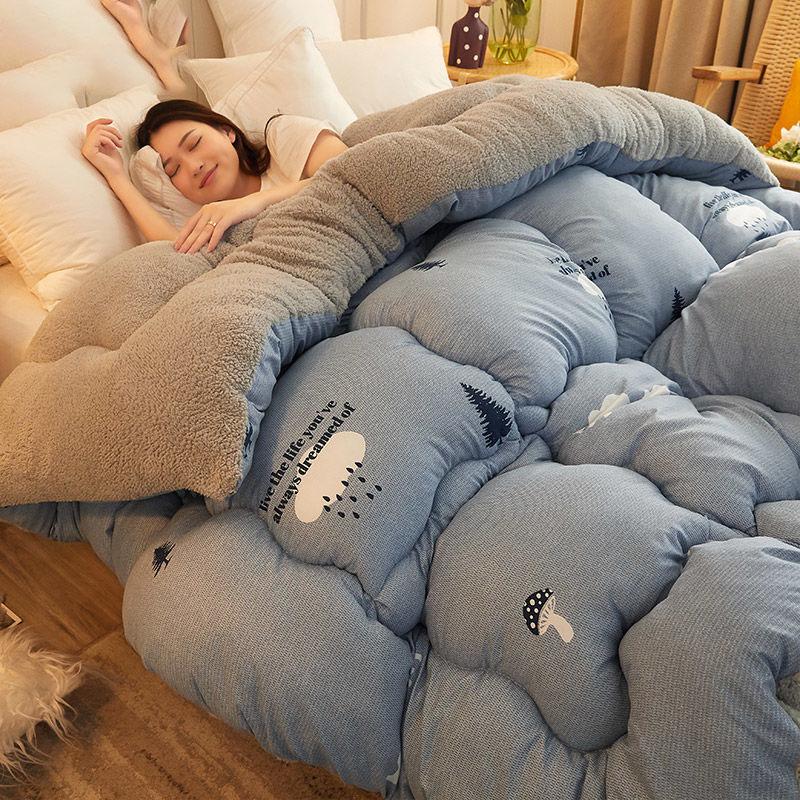 Winter Thick 5kg Lamb Velvet Quilt Spring and Autumn Single and Double Air Conditioning Quilt To Keep Warm In Winter