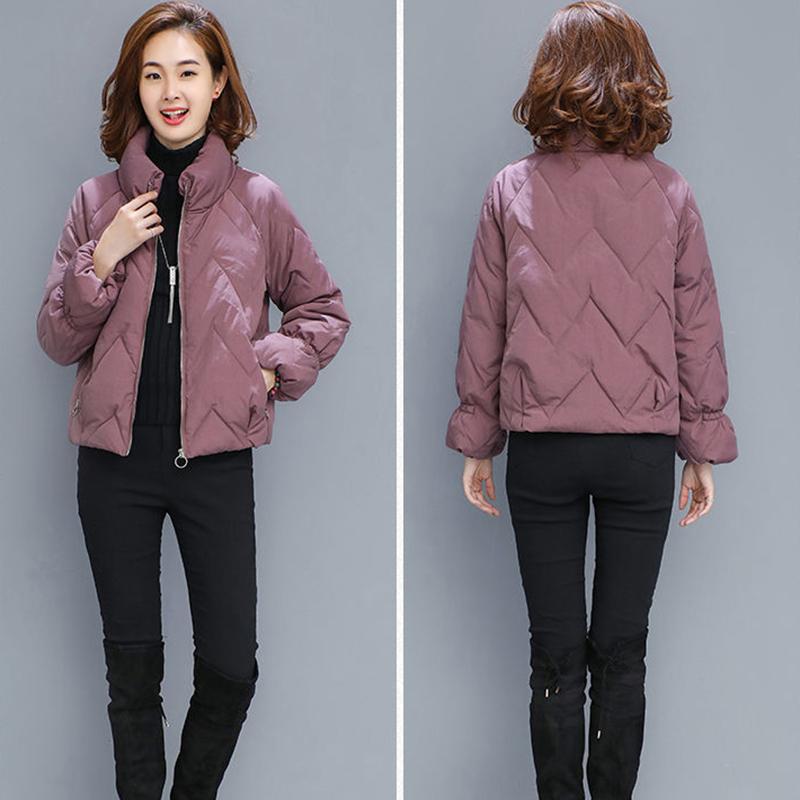 Winter Women's Down Padded Jacket Fashionable Ladies Lightweight Short Padded Jacket