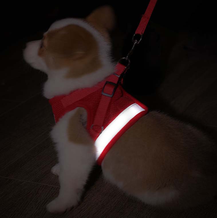 Vest-style Dog Leash Small Dog Pet Chest Harness Teddy Pomeranian Out Walking Dog Rope Dog Leash
