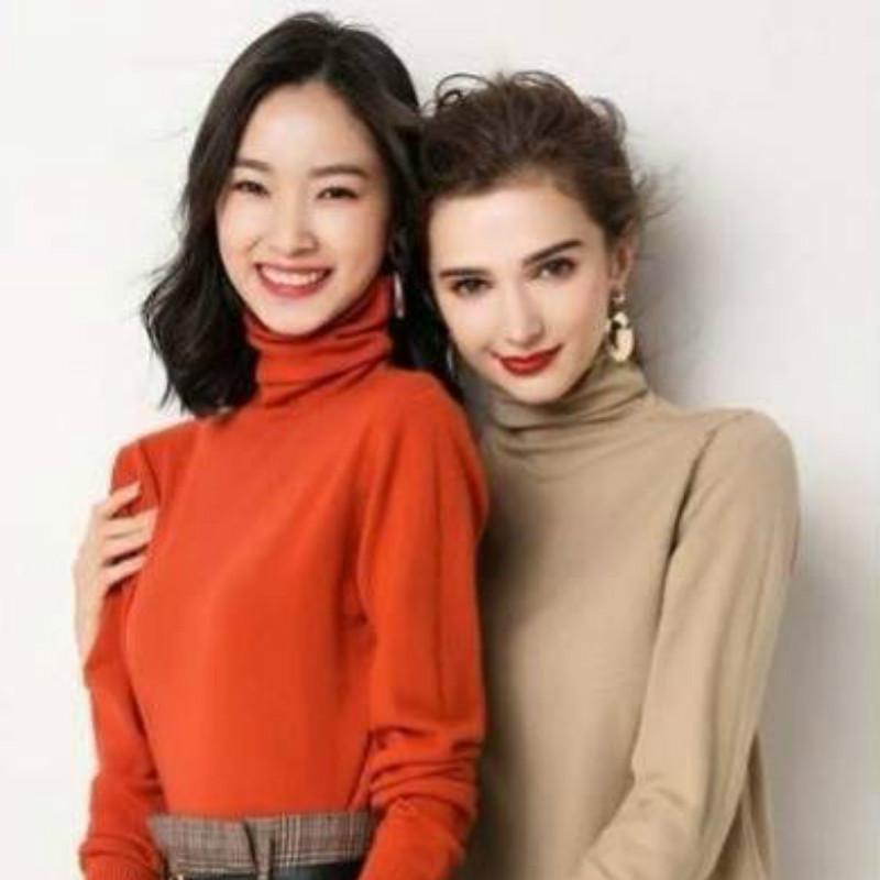 Turtleneck Slim Bottoming Sweater Long Sleeved Autumn Winter Solid Color Sweater Women