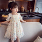 Girls Princess Dress Birthday Party Evening Dress Children Korean Style Foreign Butterfly Lace Dress Girl Puff Sleeve Dress