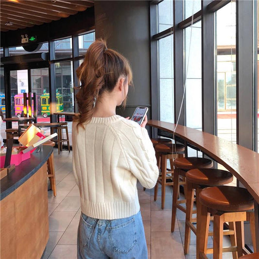 Female Fall Winter Pullover Plus Size Long Sleeve O-neck Loose Twist Weaving Print Office Sweater