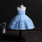 Summer Girls Dress Petal Embroidery Children's Photo Photography Clothing In The Big Children's Tutu Skirt Net Gauze Skirt