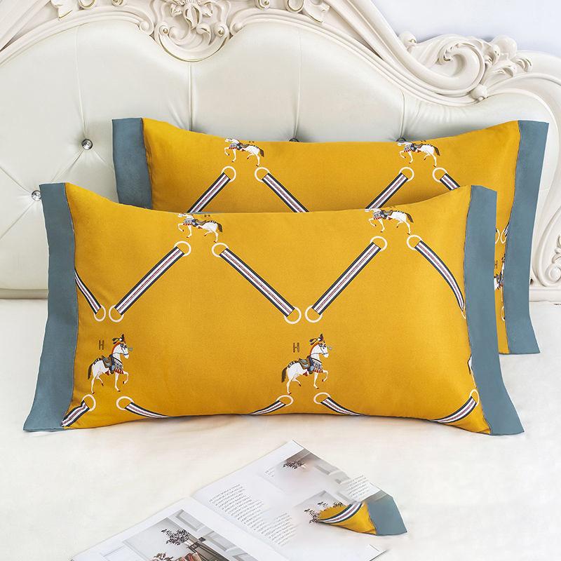 A Pair of Ice Silk Pillowcases Simple Patterned Style Summer Cute Tencel Cool Pillow Core Set Can Be Washed